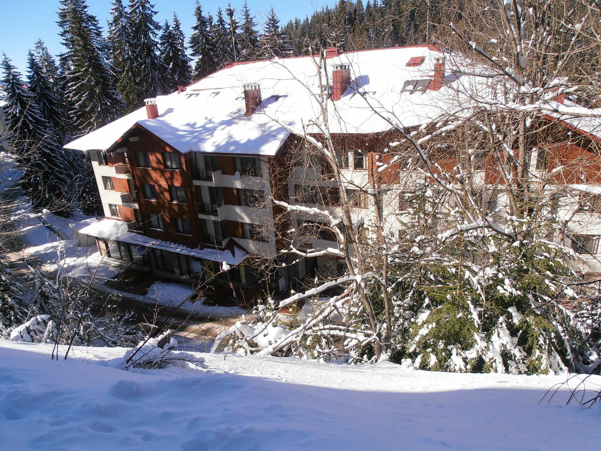 Royal House Apartments Tmf Pamporovo Exterior photo