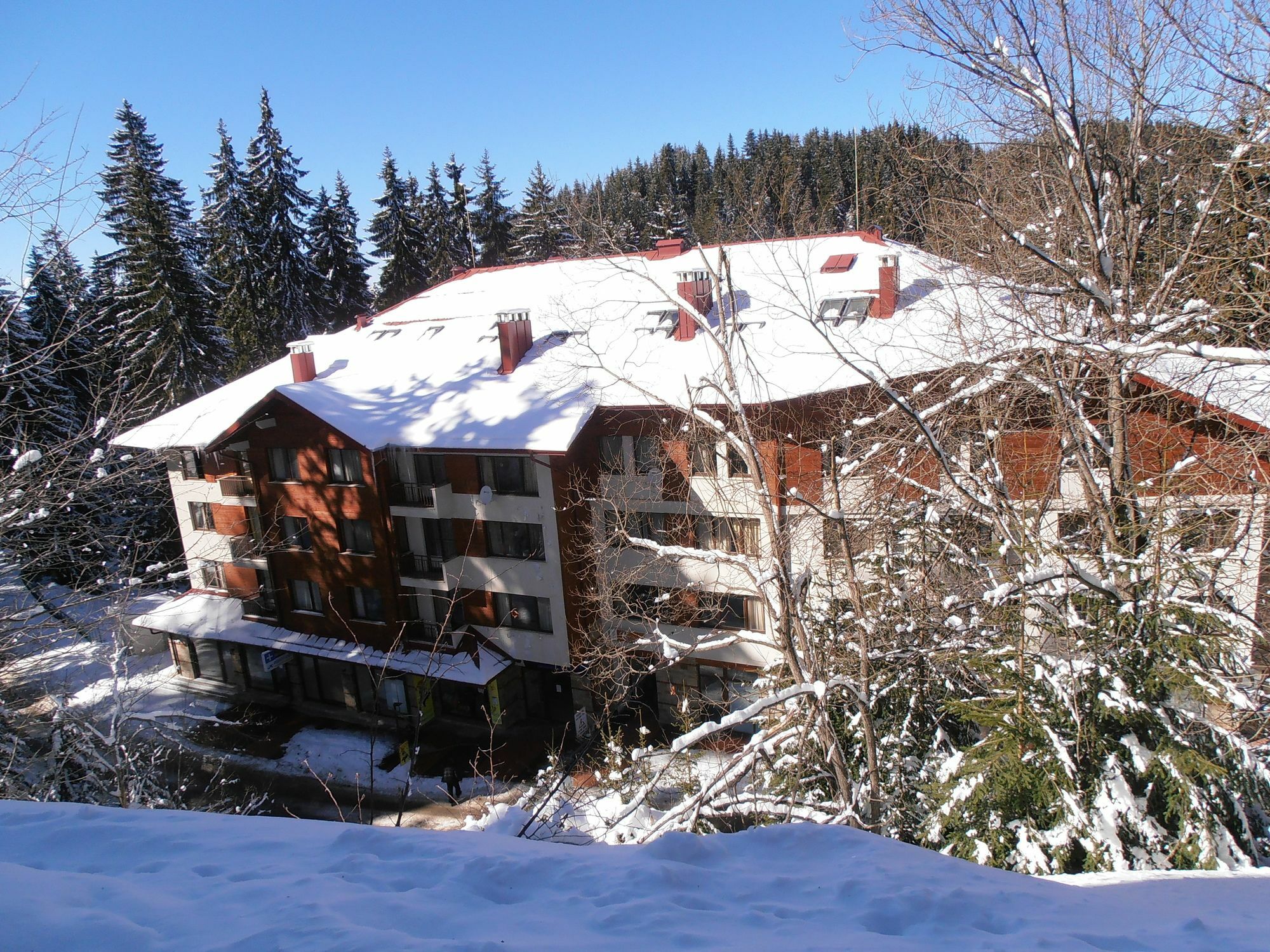 Royal House Apartments Tmf Pamporovo Exterior photo